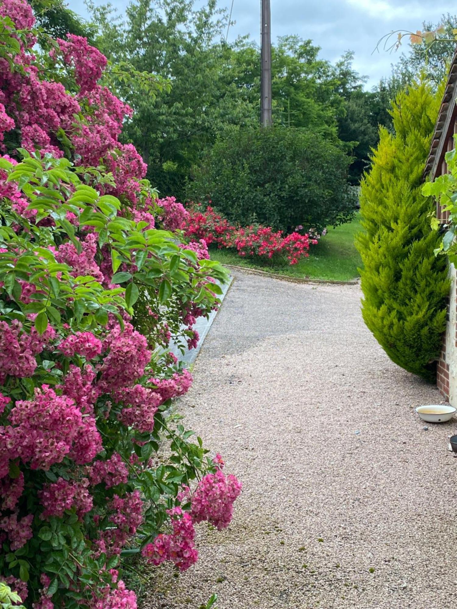 Chambre D'Hotes Du Domaine De La Haute Poignandiere Saint-Germain-de-la-Coudre Экстерьер фото